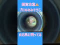硬い耳垢 プロの耳掃除