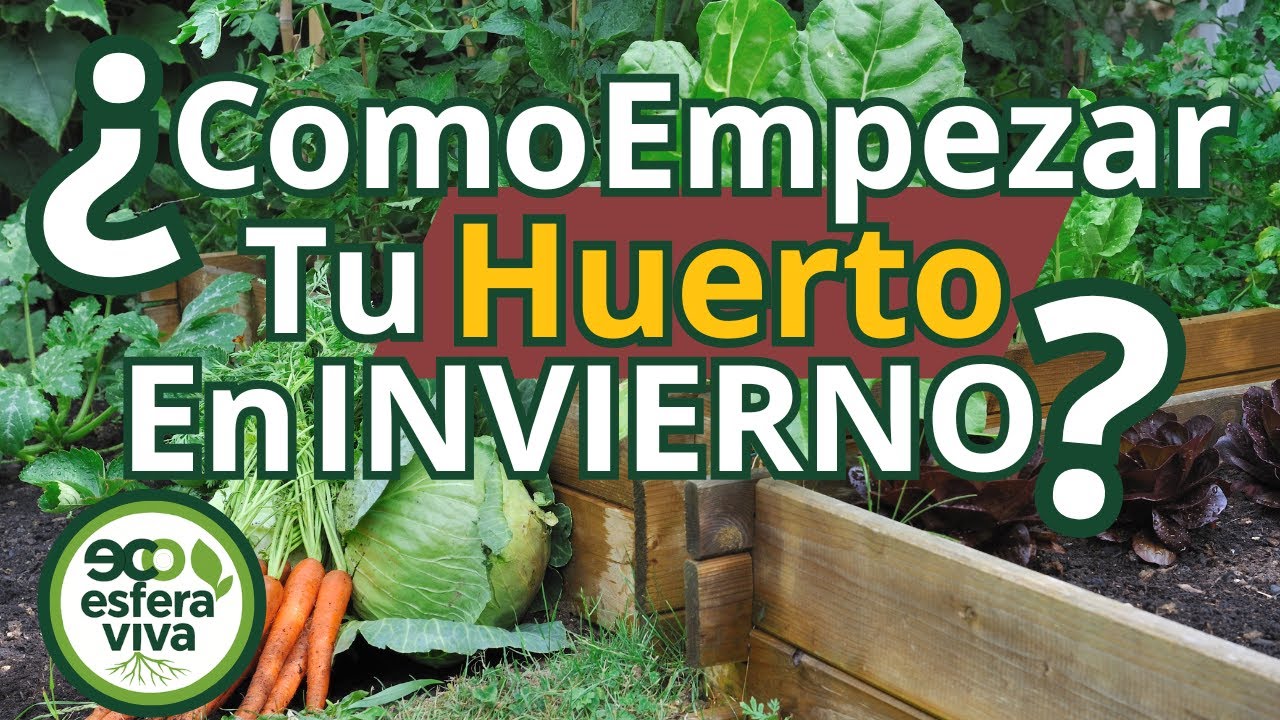 Empieza tu huerto en invierno y lo agradeceras en primavera  | 8 pasos prácticos y fáciles