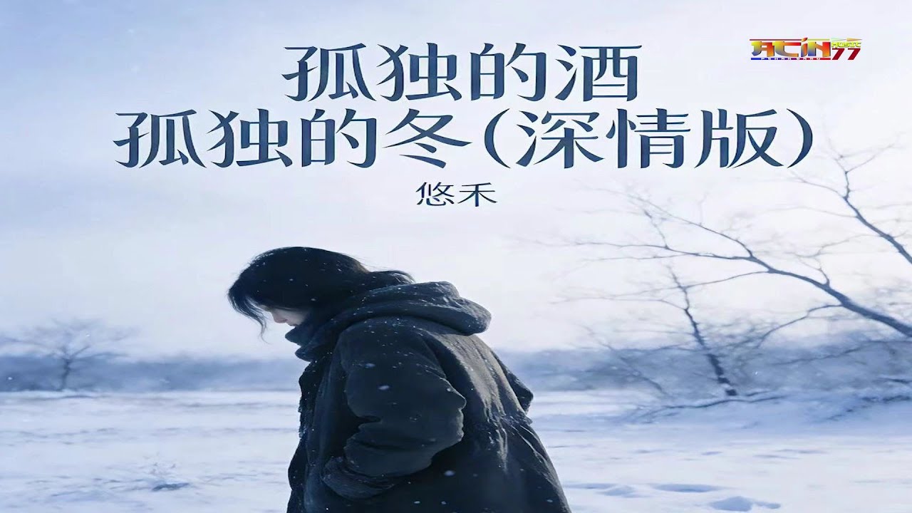 悠禾 - 孤独的酒孤独的冬 (深情律动版) - You He - Gu Du De Jiu Gu Du De Dong