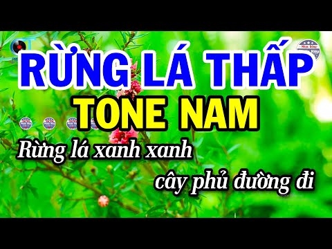 Karaoke Rừng Lá