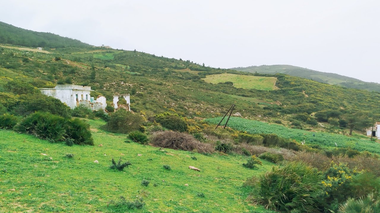 دار وغرسة هميزة راءعة ومفججة ومطلة على البحر مساحة 7643متر0703640826طنجة القصر الصغير