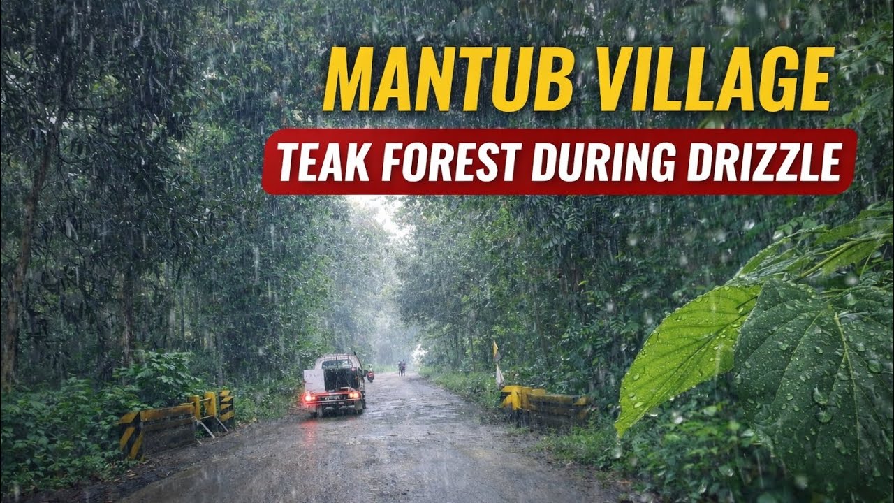 Ｍａｎｔｕｂ Ｖｉｌｌａｇｅ : Teak Forest Drizzle 🌧️🌲 