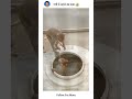 पड़ोस के बाथरू में पार्ट-2||🐒|| #trending #yts #funny #viral #bandar #money #memes #viral