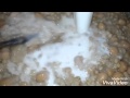 قمحية باللبن Cereals With Yogurt 