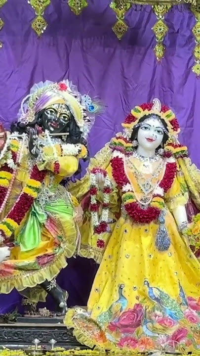 Hari Naam Hi Jeevan Hai❤️🌿 | #premanandjimaharajbhajan#bhajan #bhakti#radhe #krishna#harekrishna