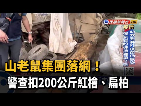 山老鼠集團落網！ 警查扣200公斤紅檜、扁柏－民視台語新聞