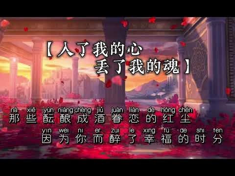 你入了我的心丢了我的魂 DJ- 伴奏女版