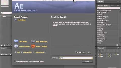 Adobe After Effects CS5 Tutorials - Interface, Help Part No.7