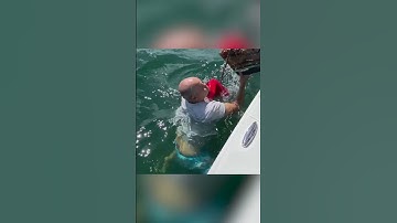 Thumbnail of Heroic dad rescues a tangled sea turtle  | Humankind #shorts #goodnews