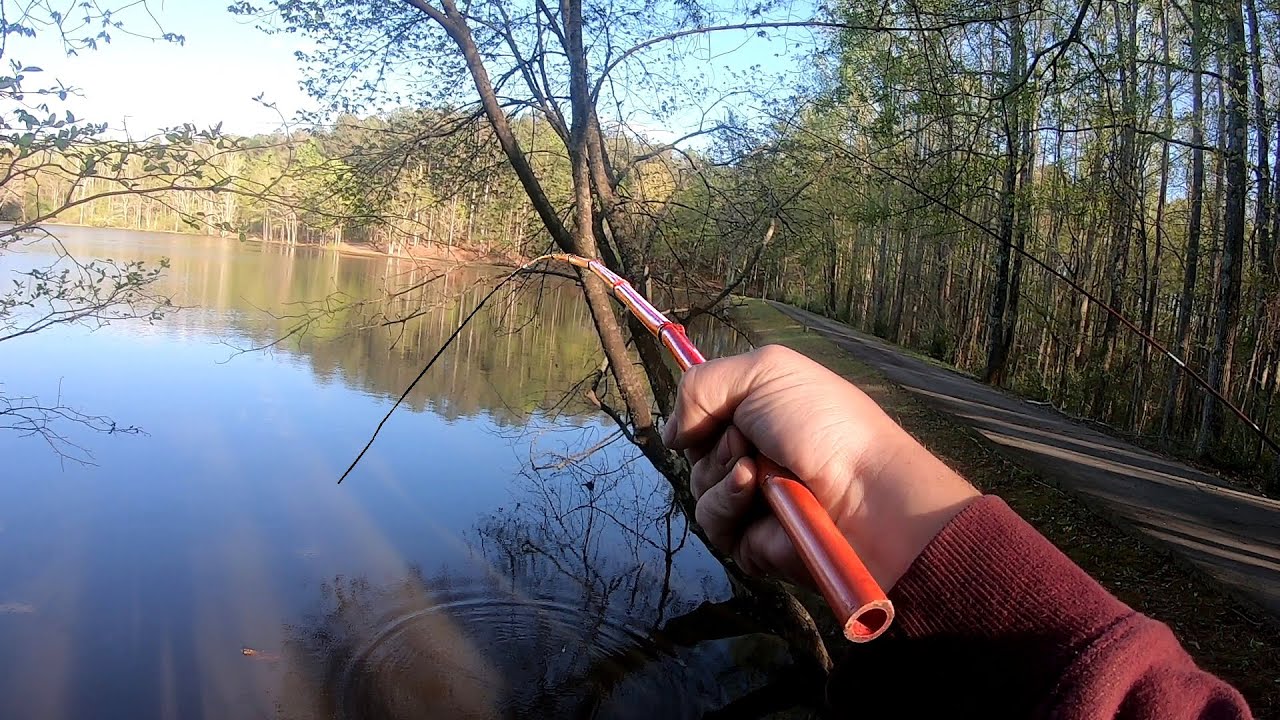 Using CANE POLES for Crappie & Other Species!! **Cane Pole Fishing  Challenge** 