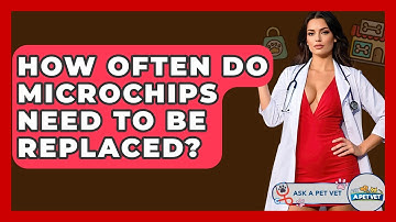 How Often Do Microchips Need To Be Replaced? - Ask A Pet Vet