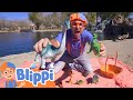 Blippi Visits A Dinosaur Exhibition! | Learn About Dinosaurs | Fun and Educational Videos for Kids