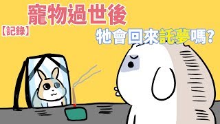 【記錄】寵物過世會回來託夢嗎?