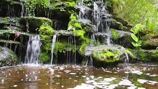 Relaxing music, Soothing stress relief music, Healing music, Meditation, study, music #RelaxingTube screenshot 5