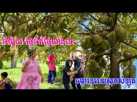 ផ្លែអីក៏ផ្លែយ៉ាងនេះ មកដល់ហើយរដូវកាលថ្មីមកលេងចម្ការទុរេនស្រុកសំឡូត
