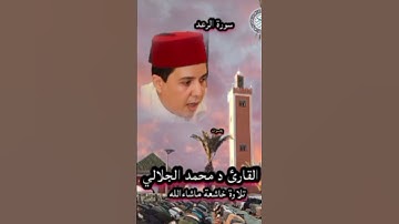 #القرآن_الكريم_ سورة الرعد بصوت القارئ د محمد الجلالي.            #اكسبلور