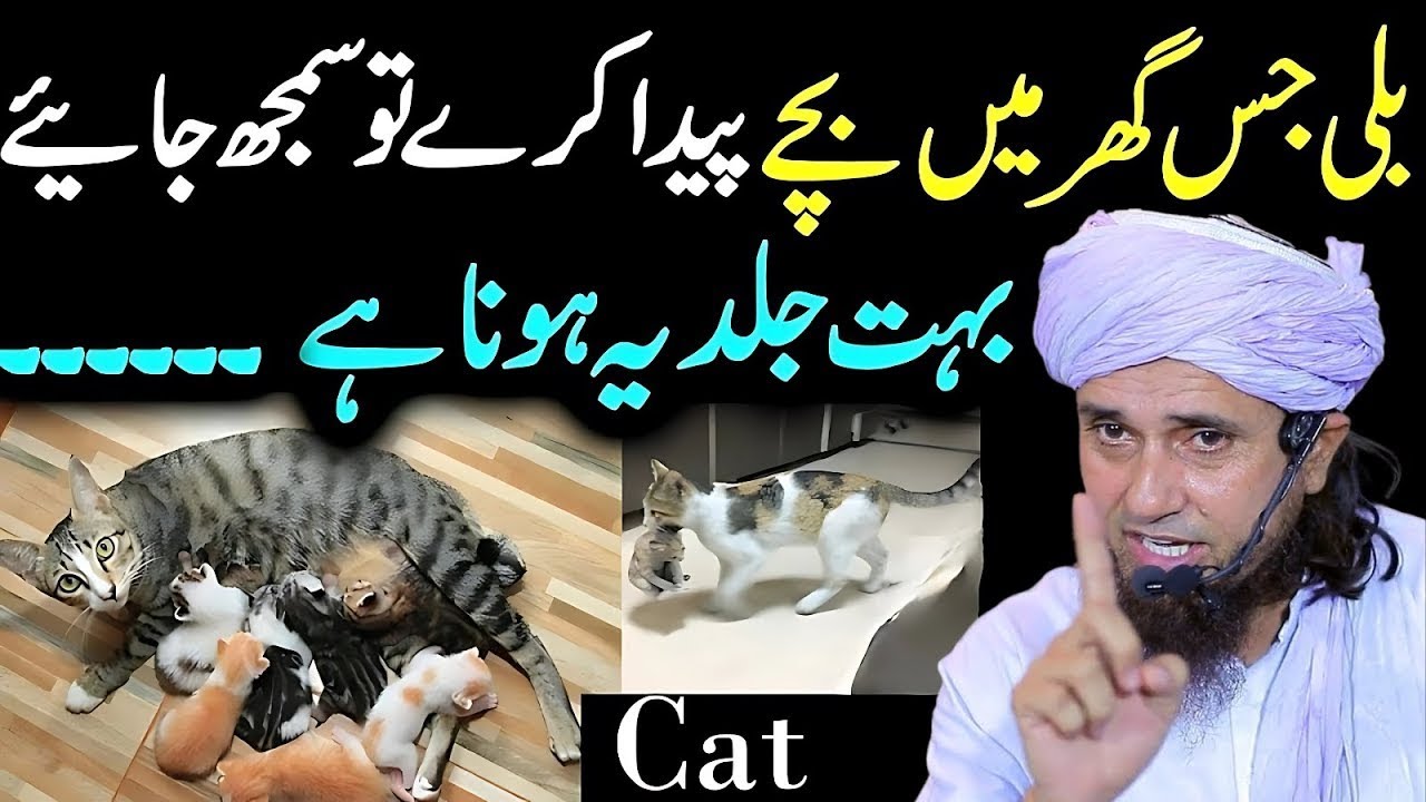 Billi Agar Ghar Mein Bachay Paida Kare To Samajh Lo Ye Nishani Hai Ye Bayan Sunen | Tariq Masood