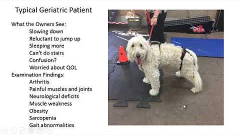 Geriatric Rehabilitation 5min Clip