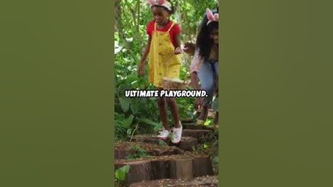 "The Amazon Rainforest Produces 20% of the World’s Oxygen? # Shorts # ytshorts