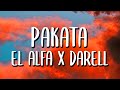 Darell X El Alfa PAKATA Letra Lyrics mp3