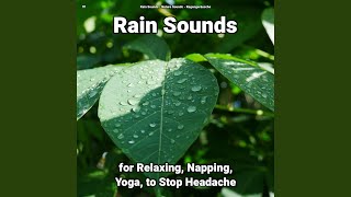Harmonious Sound of Rain