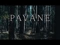 Mizu  pavane music