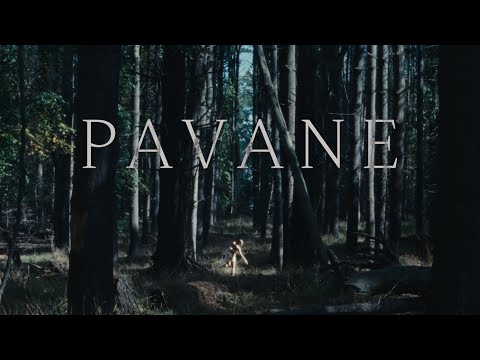 MIZU - Pavane (Music Video)