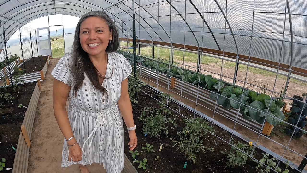Cattle panel trellises, shade cloth & our FIRST North Idaho GARDEN TOUR!!!