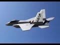 boxermad84 rc f-15 on a windy day (vertical landin