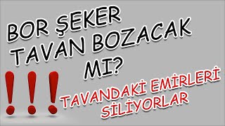 Bor Şeker Tavan Bozacak Mi?? Emi̇rler Si̇li̇ni̇yor??Küçük Yatirimciya Pani̇k Yaptiriliyorpatek Borsk