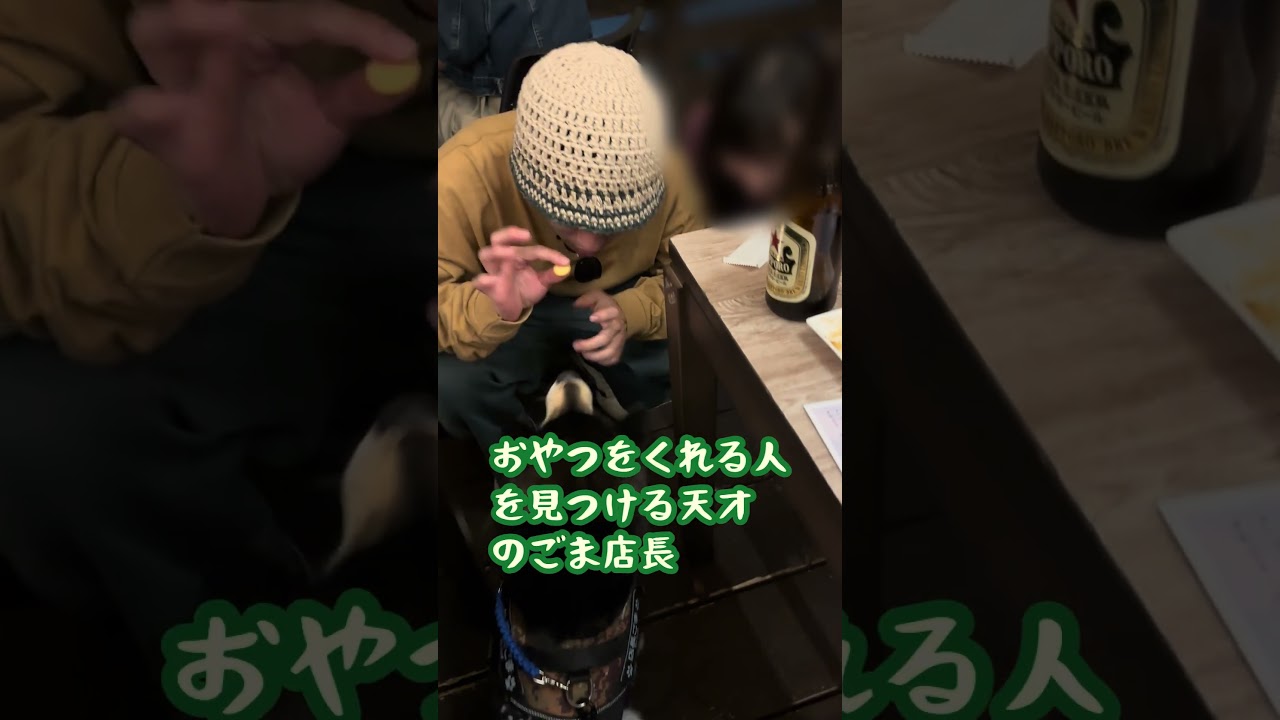 今夜も酔いしば！