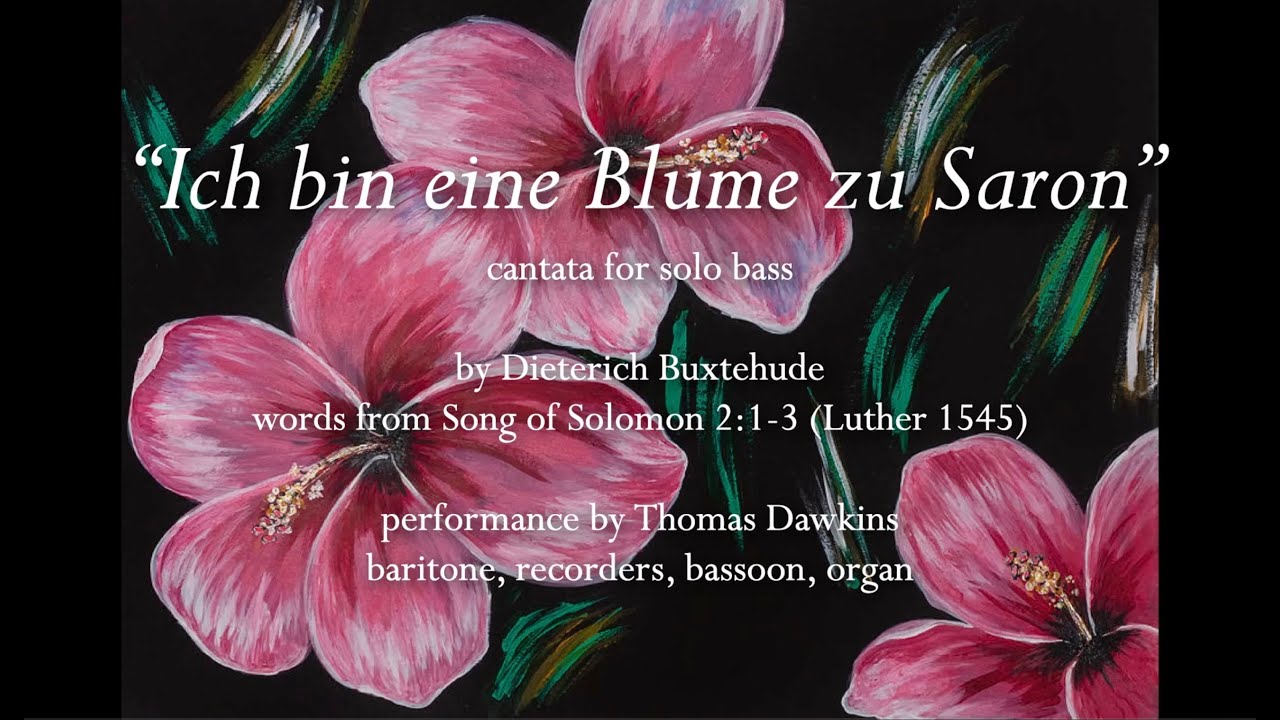 Buxtehude: "Ich bin eine Blume zu Saron" (cantata for solo bass) BuxWV