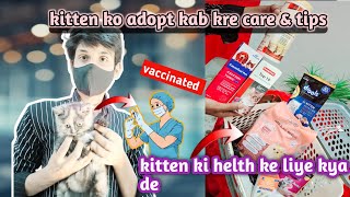 Kitten Adoption Guide | Care, Food & Accessories Explained+vaccination