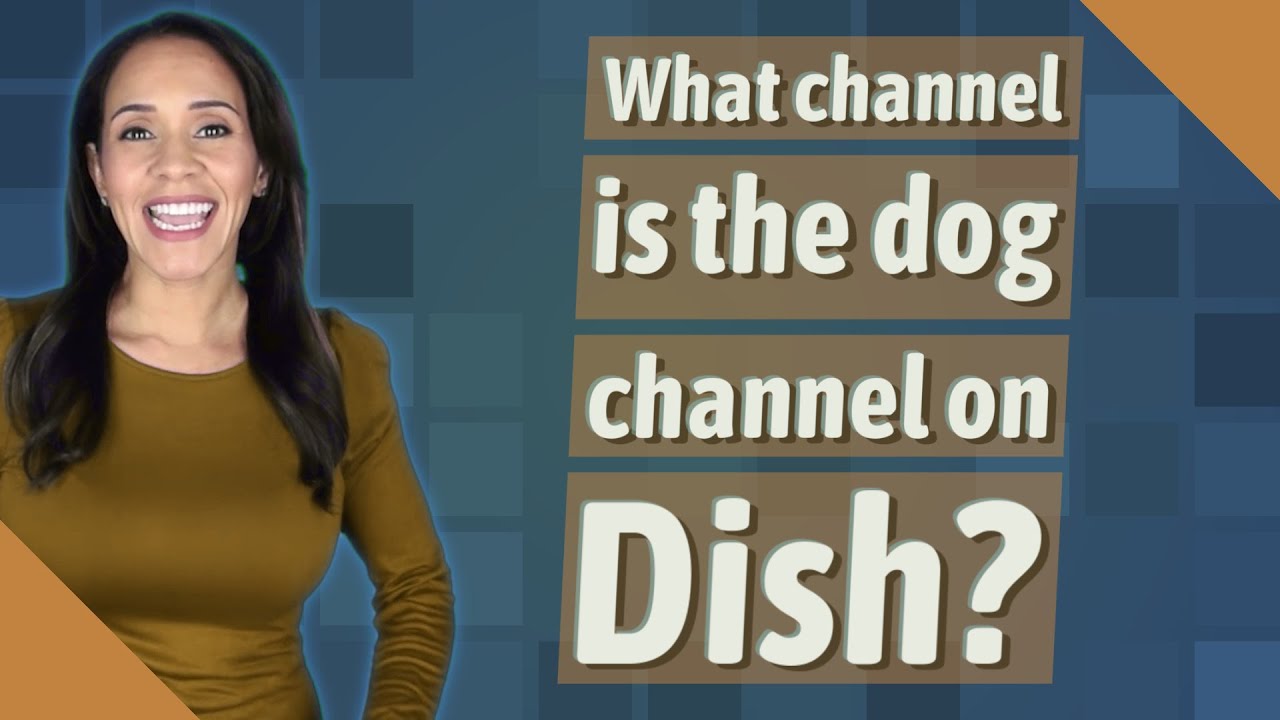What channel is the dog channel on Dish? YouTube