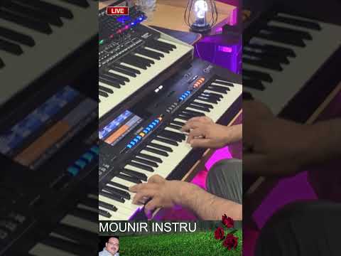 Sidi Yahya Regada 2023 Shurt Video 2024