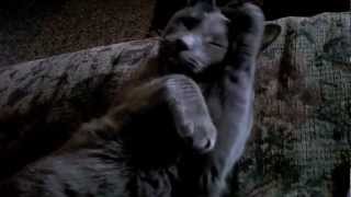 The Official Parker 2013 Teaser Trailer
