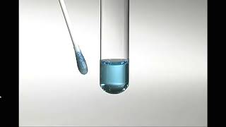 Flocked Swabs Product Display
