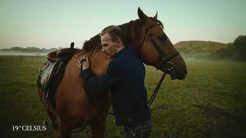 THE HORSE BREEDER | Fay Archive