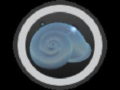 Get the silver shell amulet !!! | Bee Swarm Simulator