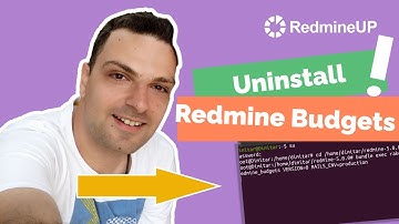 How to completely remove the Redmine Budgets plugin?