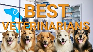 Find the BEST Vets in Orange County Now