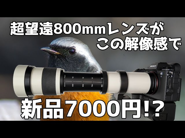 Unboxing Review] Lightdow 420-800mm F8.3-F16 Super Telephoto Lens