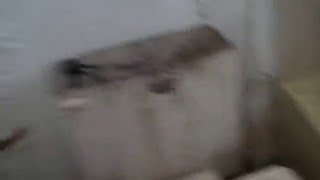 3648 E 55 | Cleveland | Three Family | 44105