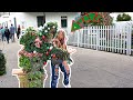 She got scared by a Christmas Tree🎄 :Bushman Prank