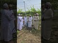 تعريشة العنب