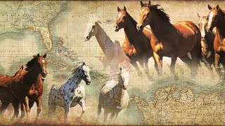 KnoWhy #75 Why Are Horses Mentioned in the Book of Mormon (왜 몰몬경에는 말이 언급되는가)