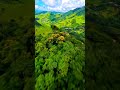 Amazon Rainforest Drone Views 🌳 #Nature #Travel #AmazonRainforest #DroneViews