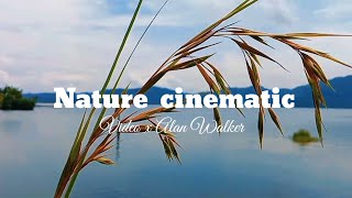 Nature cinematic | Nature Cinematic video x Alan Walker - Not you