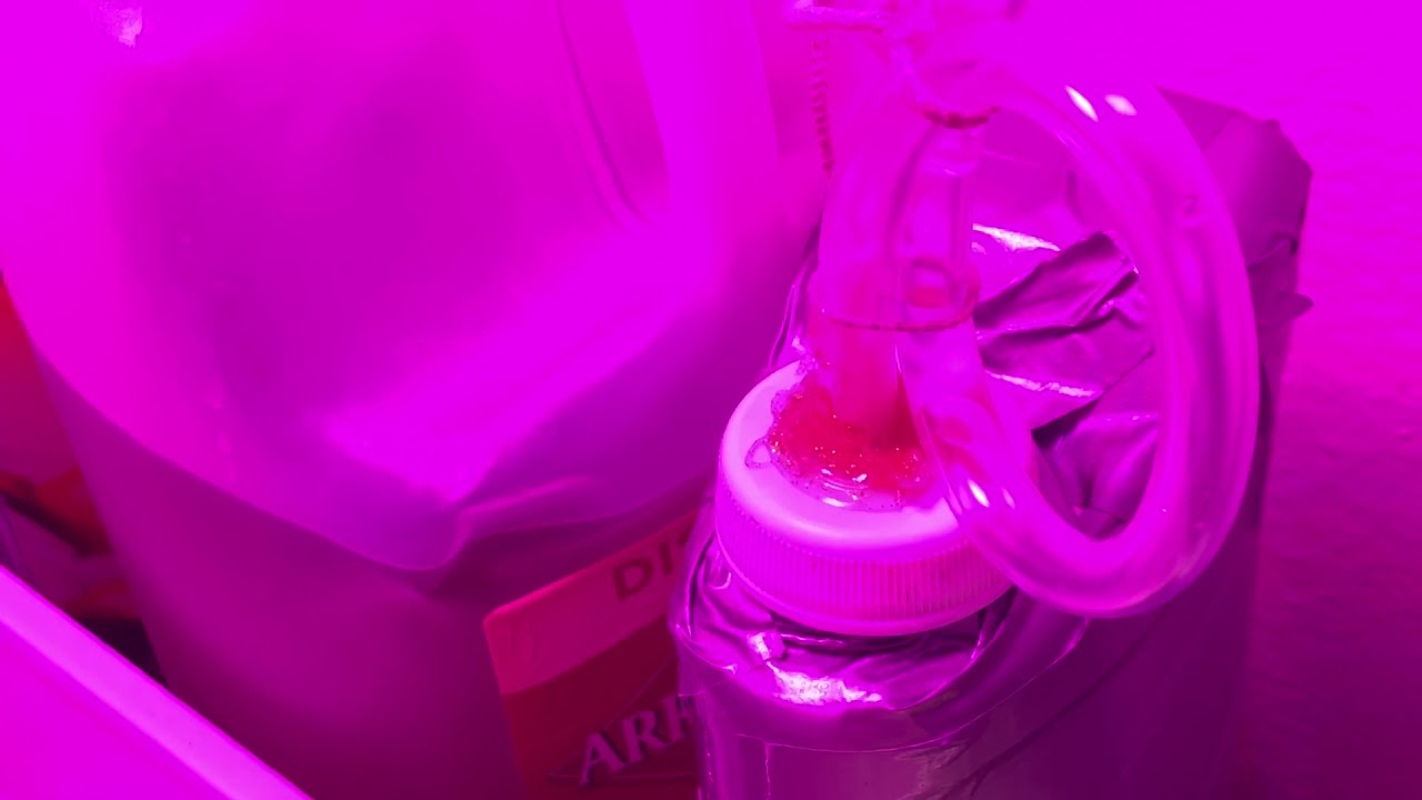 DIY CO2 generator - take 2