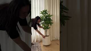 Plantes Artificielles En Solde - 25% De Rabais Chez Décors Véronneau